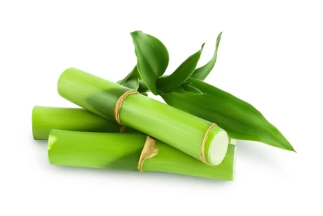 Bamboo